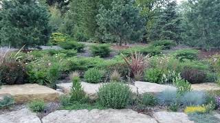 Masterful Rock Garden Planting at the Cantigny Park Wheaton Illinois June 2021 [upl. by Kcir]