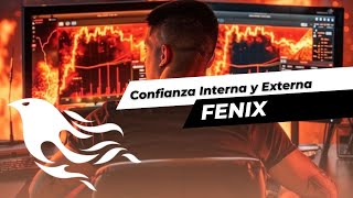 Confianza Interna y Externa en el trading  FENIX ELEVEN [upl. by Eelyram]