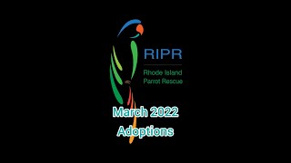 March 2022 Adoptions from RIPR [upl. by Hugon365]