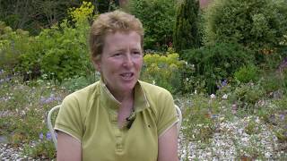 Master Grower  Hardys Cottage Garden Plants  RHS Hampton Court Palace Garden Festival  RHS [upl. by Helen285]