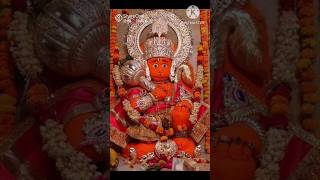 Shree Hanuman Chalisa Fast🙏🌺 youtubeshortsytshorts shortsshortbhakti chalisahanumanhanumanji [upl. by Vassaux693]