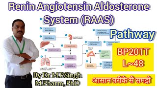 Role of Renin Angiotensin Aldosterone System  Human Anatomy PhysiologyII  BP201T [upl. by Eocsor]