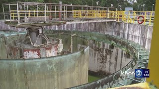 Avian Flu variant confirmed at Wahiawa Wastewater Treatment Facility [upl. by Bebe397]