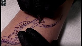 Venomous sword  Tattoo time lapse [upl. by Jude309]