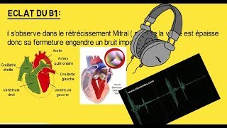 Eclat du B1  bruit du coeur2 [upl. by Finah940]