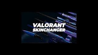 VALORANT SKIN CHANGER  Valorant Skin Swapper  TUTORIAL 2024 [upl. by Inaliel556]