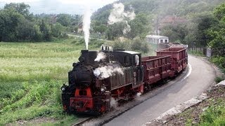 Schmalspurbahn Brad  Criscior HD Narrow Gauge Steam Railway Romania [upl. by Nnaj]