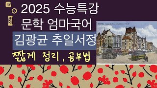 2025 수능특강 문학 김광균 추일서정 ebs 공부법 [upl. by Animehliw]