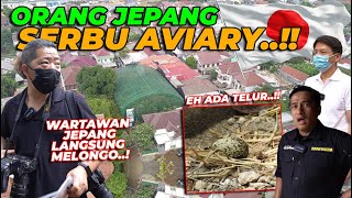 MENDUNIA AVIARY GW KINI JADI SOROTAN NEGERI JEPANG WARTAWAN JEPANG SAMPE MELONGO❗❗ [upl. by Ynohtnaed265]