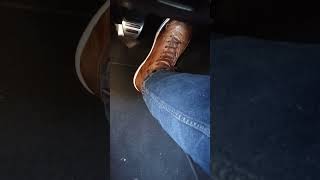 Piloti Apex driving shoes in Cognac color boss302 automobile fordmustang [upl. by Keithley]