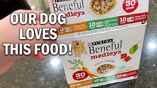 Purina Beneful Wet Dog Food Review  No More Upset Stomach after Switching [upl. by Nedah476]