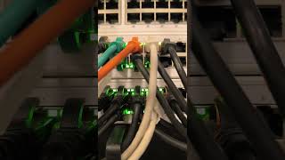 Server Room Noise noise datacenter server [upl. by Bekaj449]