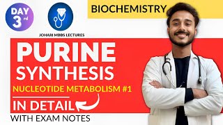 purine synthesis biochemistry  nucleotide metabolism biochemistry  purine nucleotide synthesis [upl. by Akinuahs]