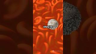 Pinocytosis Explained How Cells Drink cellreproduction science cellformation cellbiology [upl. by Idnim238]