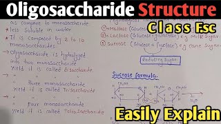 Oligosaccharide Structure And Classification  Disaccharide  Sucrose  Maltose  Class 11 [upl. by Auhel]