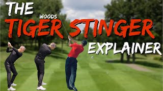 The Incredible TIGER WOODS Famous Shot in GOLF [upl. by Kynan612]