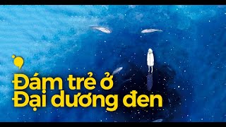 Rồi ai sẽ ở lại cạnh đám trẻ ở đại dương đen [upl. by Azmuh]