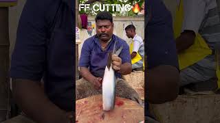 KASIMEDU 🔥 SPEED SELVAM MUL VALAI FISH CUTTING VIDEO kasimeduselvam fishcutting youtubeshorts [upl. by Rramo322]