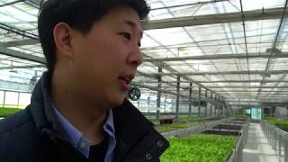 How Profitable is Aquaponics [upl. by Alves603]