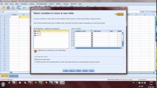 SPSS Ders2SPSS Verilerini Excel kitabına aktarma [upl. by Beghtol800]