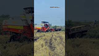 vairalshort harvestar darving folksong [upl. by Esetal]