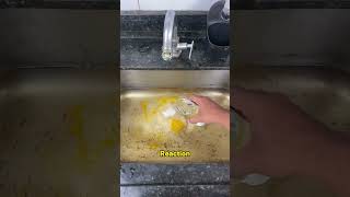 Unclog Your Sink with Just One Egg and Common Household Itemsshorts [upl. by Evelyn]