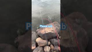 BASS FISHING bass fishing [upl. by Patsy]