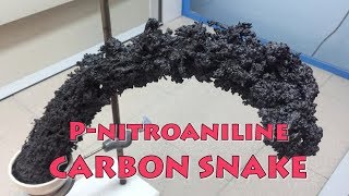 pnitroaniline superfast decomposition big carbon snake [upl. by Ellah]