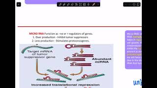 Tumor progression Aneuploidy  Micro RNA  Epigenetic Modifications [upl. by Eliott967]