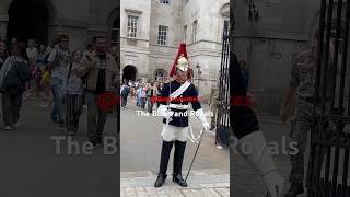 The Blues and Royals london tourist royalhorseguard horse royalguards londontourist [upl. by Lundin695]