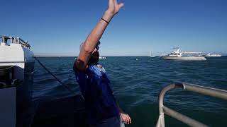 Welcome on board our Award Winning Whale Shark Tour  Ningaloo Whaleshark Swim [upl. by Mcnutt]