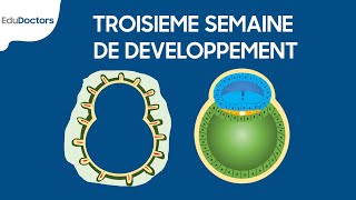 Troisième semaine de développement  Embryologie générale [upl. by Darlene714]