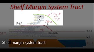 Shelf Margin System Tract  Sequence Stratigraphy [upl. by Nnylyam]