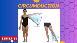 Circumduction anatomy [upl. by Hyacinth]