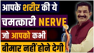 Body Healing Techniques Never Fall Sick Again करो ACTIVATE अपनी इस जादुई NERVE को  Ram Verma [upl. by Ennayelsel]