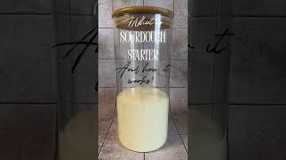 What is SOURDOUGH STARTER and How It Works sourdoughstarter sourdoughbread sourdough [upl. by Eerhs248]