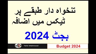 Taxes increased on Salaried Class in proposed Budget 2024 budget2024 [upl. by Nestor87]