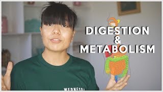 MISCONCEPTIONS ABOUT METABOLISM  Digestion amp Metabolism  Nutrition Series Ep 2 [upl. by Lyckman7]