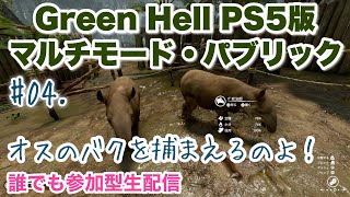 【Green Hell 】04·マルチサバイバルモード·拠点を作っていきます【参加型】生配信PS5 Green Hell PS5版マルチサバイバル畜産クラフト部族襲撃 [upl. by Carmelia]