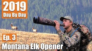 Chasing Public Land Bulls  2019 Montana Archery Elk Opener Ep 3 [upl. by Hernandez751]