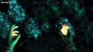 Where to find many Chaurus Eggs  Skyrim [upl. by Hasseman]