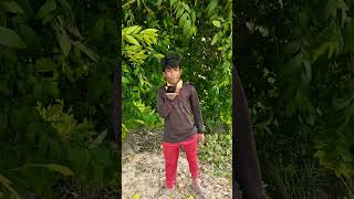 Shailesh cs vlog ll 😘🤩🙏🙏🙏🙏🙏 [upl. by Alek784]