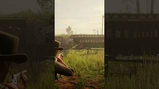 Killing Lemoyne raiders reddeadredemtion2 rdr2 gaming [upl. by Elspeth]