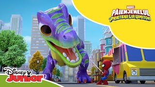 🦖 Vecinul Dinozaur  Păienjenelul Marvel și prietenii lui uimitori  Disney Junior România [upl. by Noitna]