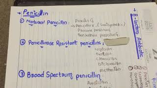 b lactam antibiotics penicillin classification mnemonic [upl. by Cchaddie]