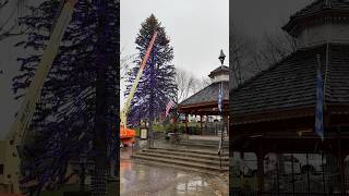 Lights are almost done in Leavenworth 🎄 christmas winter shorts travel short video fyp wow [upl. by Gina350]