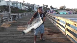 Cast Net Fishing Capitola Pier [upl. by Lazar437]