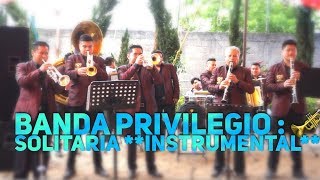 Banda Privilegio  Trompeta 🎺Solitaria  ESTRENO 2018 [upl. by Rachelle]