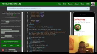 Add Placeholder Text to a Text Field freeCodeCamp review html amp css lesson 28 [upl. by Eissej]