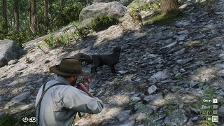 I finally found my lost dog after five years  RDR2 [upl. by Sola]